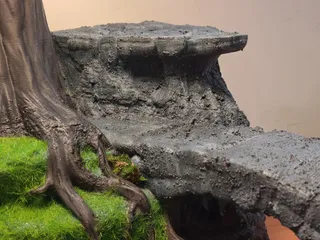 Pokemon Multi-Biome Display Diorama - Thumbnail