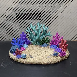 珍珠貝珊瑚海底花園 - Thumbnail