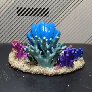 珍珠貝珊瑚海底花園 - Thumbnail
