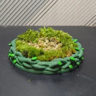 霸王花藤蔓花圈盆栽 - Thumbnail